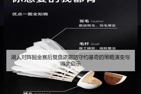 湖人对阵掘金赛后复盘浓眉防守约基奇的策略演变与得失启示